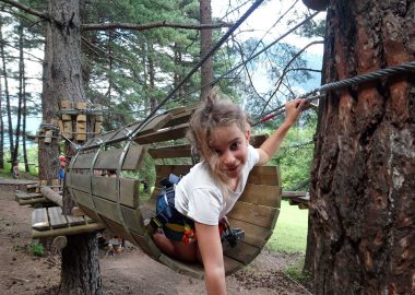 Tree-tops adventure