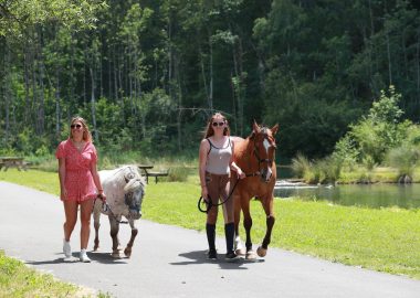 LOCATION DE PONEY avec CAVAL’OISANS – 30 MIN