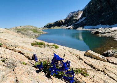 Half-day hike – private outing