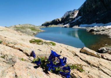 Private outing – Day trip