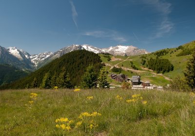 Vertical cross country running route