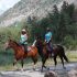 SORTIE A CHEVAL avec CAVAL’OISANS – 2H