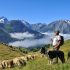 Alpine pasture outing – Meet the shepherd – Auris-en-Oisans
