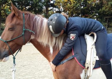 Equitherapy