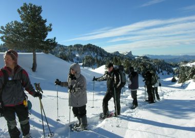 Accompanied half-day snowshoe hikes