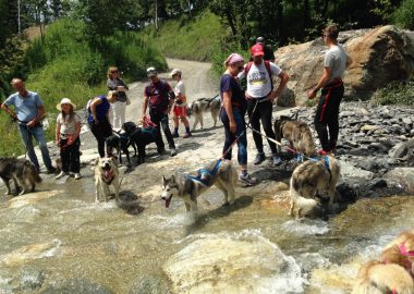 Mini Musher Bourg d’Oisans – a sled dog experience.