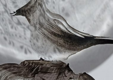 Les ateliers de flo’