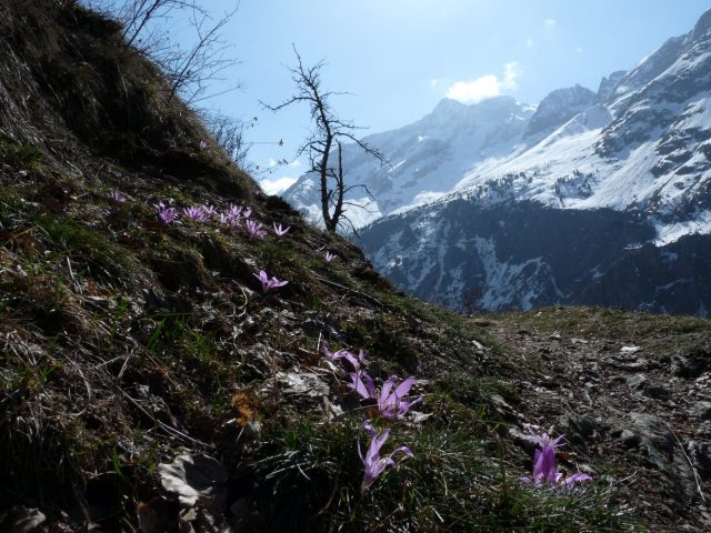 3 days on the Vénéon – Guided hike_Saint-Christophe-en-Oisans