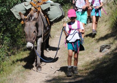 Hiking with a donkey