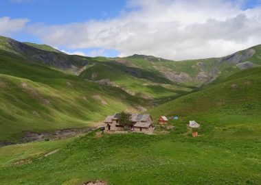 Edible plants weekend at the refuge du Pic du Mas de La Grave