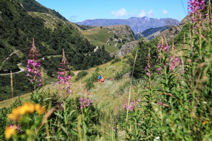 Spring hiking trail