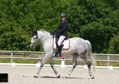 Equestrian training