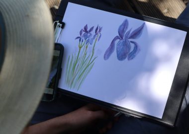 Naturalist watercolor workshop
