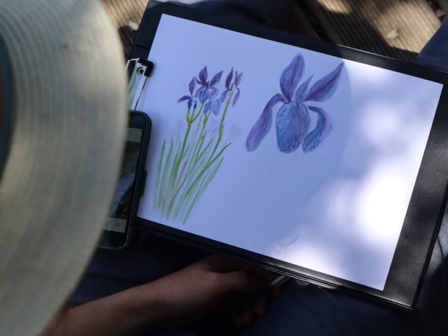 Naturalist watercolor workshop_Villar-d’Arêne