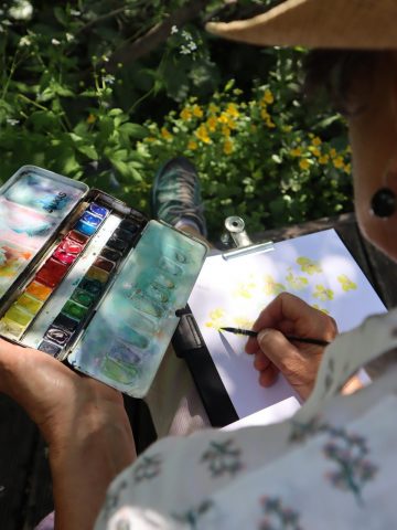 Naturalist watercolor workshop_Villar-d’Arêne