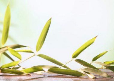 Auprès de mon Alpe – Massage