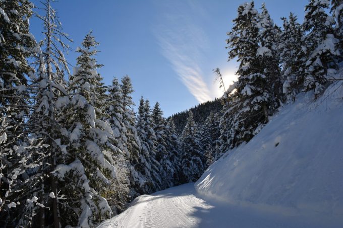 Foret de Piégut – snowshoeing from Auris-en-Oisans_Auris-en-Oisans