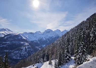 Forêt de Piégut – snowshoeing from Auris-en-Oisans