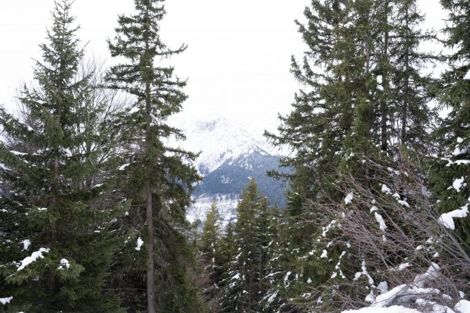 Forest bath” guided hike_Auris-en-Oisans