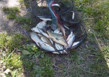 Fishing at the Lauvitel Lake