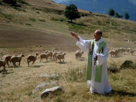Blessing of the herds