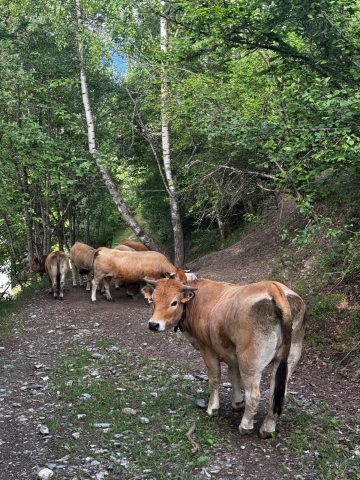 Plancet en boucle_Auris-en-Oisans
