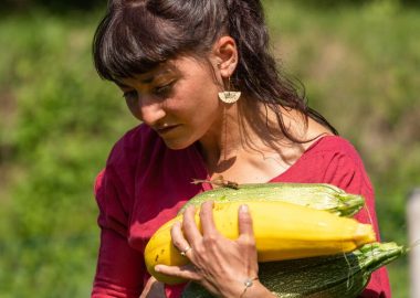 Maline’s Harvests