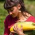 Maline’s Harvests