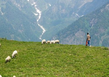 HIKE TO THE ALPINE PASTURES OF ST CHRISTOPHE EN OISANS