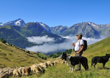 A Trip to the Mountain Pastures – Meeting the Shepherd – Auris-en-Oisans