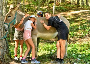 Hiking with Donkeys