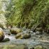 Initiation au canyoning pour les ADOS