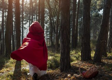 Summer storytelling stroll