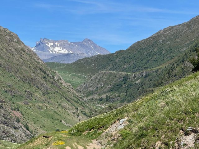 View from the Rosai Trail