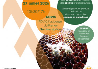 Bee Safari Workshop