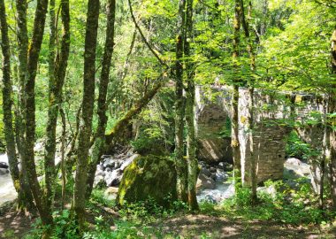Gorges de Sarenne – Loop hike from Auris en Oisans resort