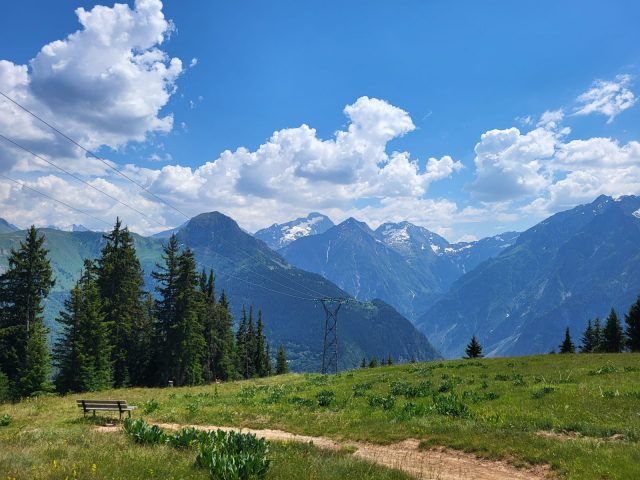 View of the Écrins from the trail