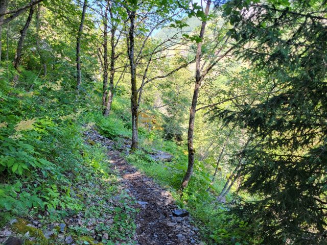 Trail between Le Rosai and the Roman bridge
