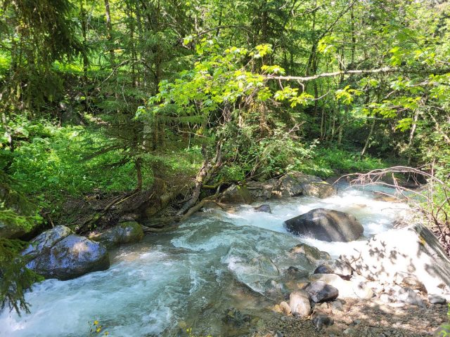 Sarenne river