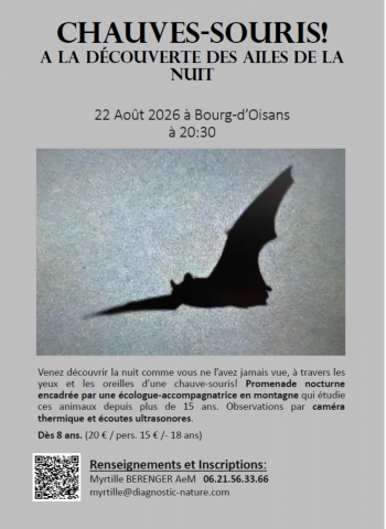 Discovering the Wings of the Night_Le Bourg-d’Oisans