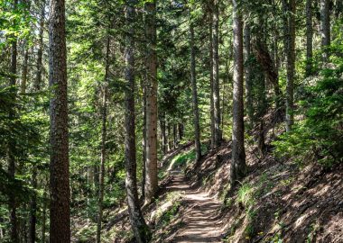 Sentier du Bucheron – Hiking from Auris-en-Oisans resort