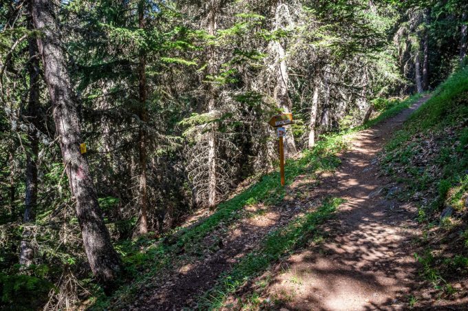 Sentier du Bucheron