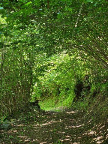On the way to the hamlets