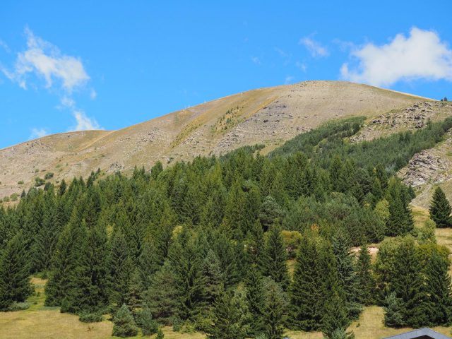 Signal from the West Side
