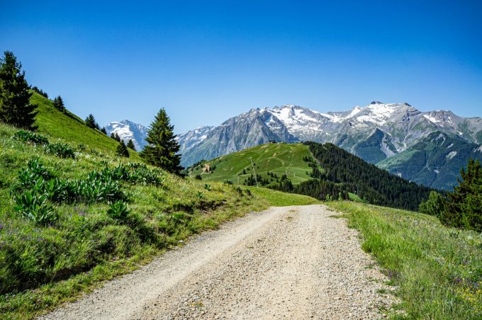 View of the Sures and the Ecrins