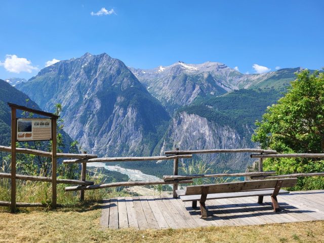 View from the orienteering course