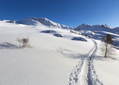 Snowshoe Hiking – Oisans Alpe d’Huez Guides and Tour Leaders Office