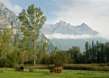 A cheval en Oisans – La Vallée de la Romanche