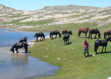 A cheval en Oisans – Le lac du Carrelet