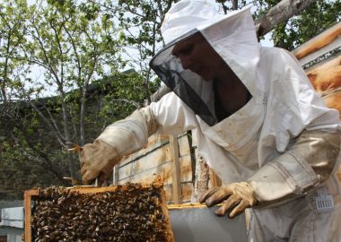 Heritage and cultural activities